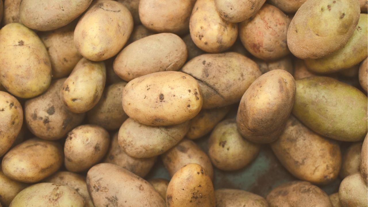 The Truth About Starches: Why Potatoes, Rice, and Pasta Aren't the Enemy