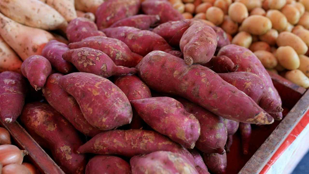 Stop Blaming Carbs for Your Weight